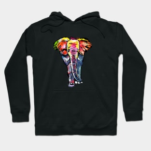 Elefant colorful Hoodie